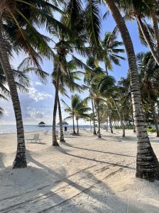 victoria house resort and spa